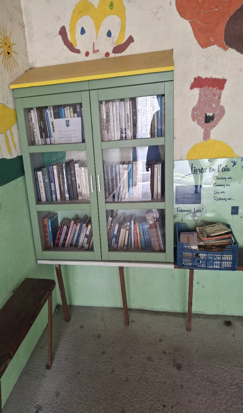 Délivrez - Boite à livres (Coulmiers, France)