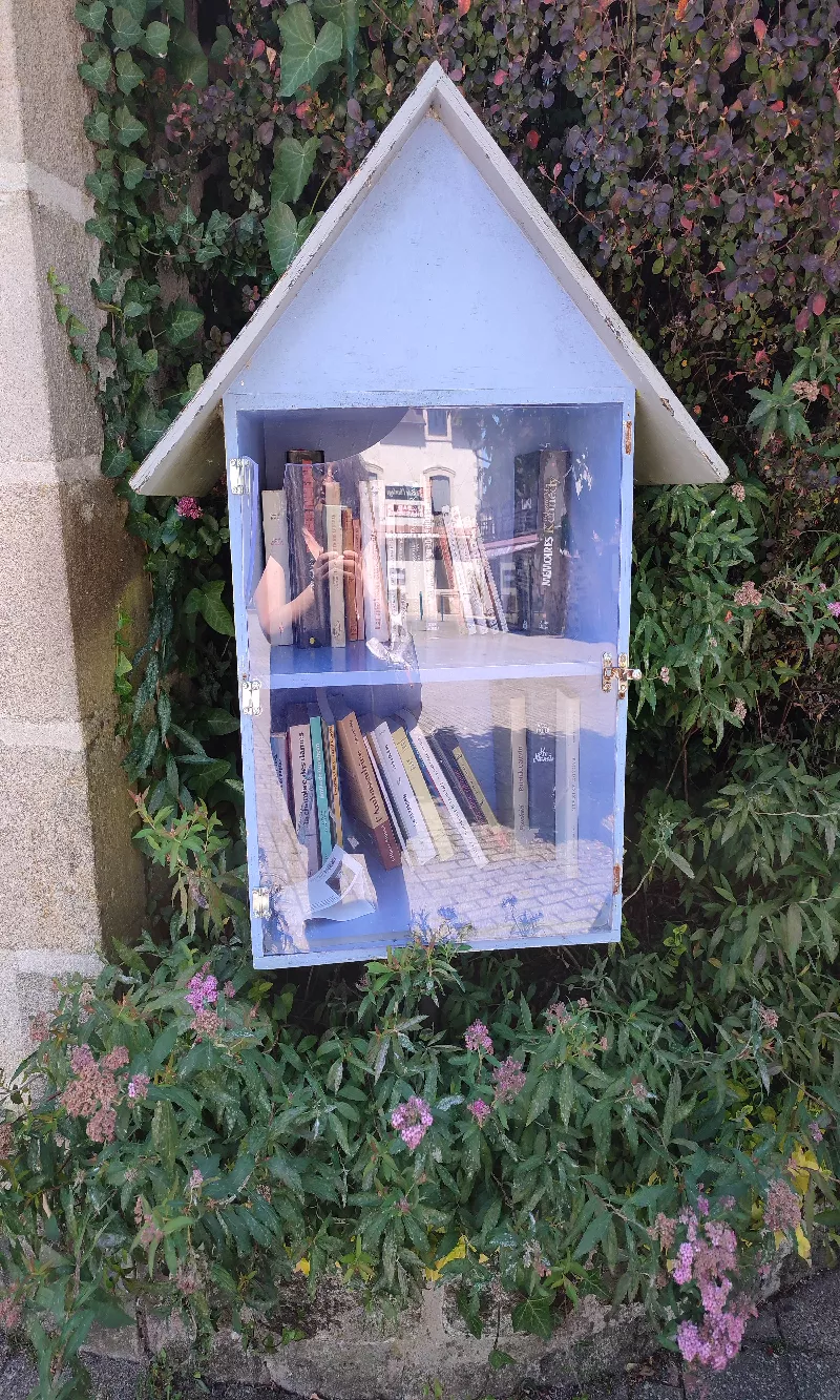 Délivrez - Boite à livres (Seilhac, France)