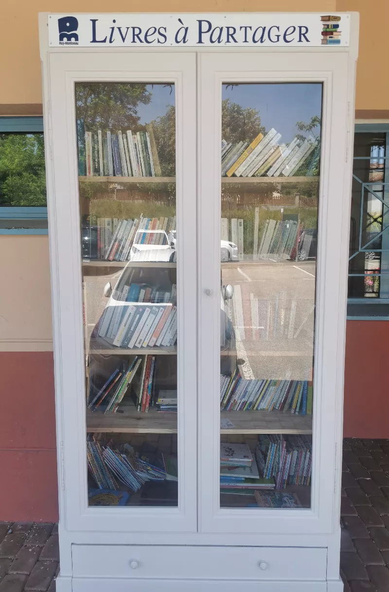 Délivrez - Boite à livres (Ruy-Montceau, France)