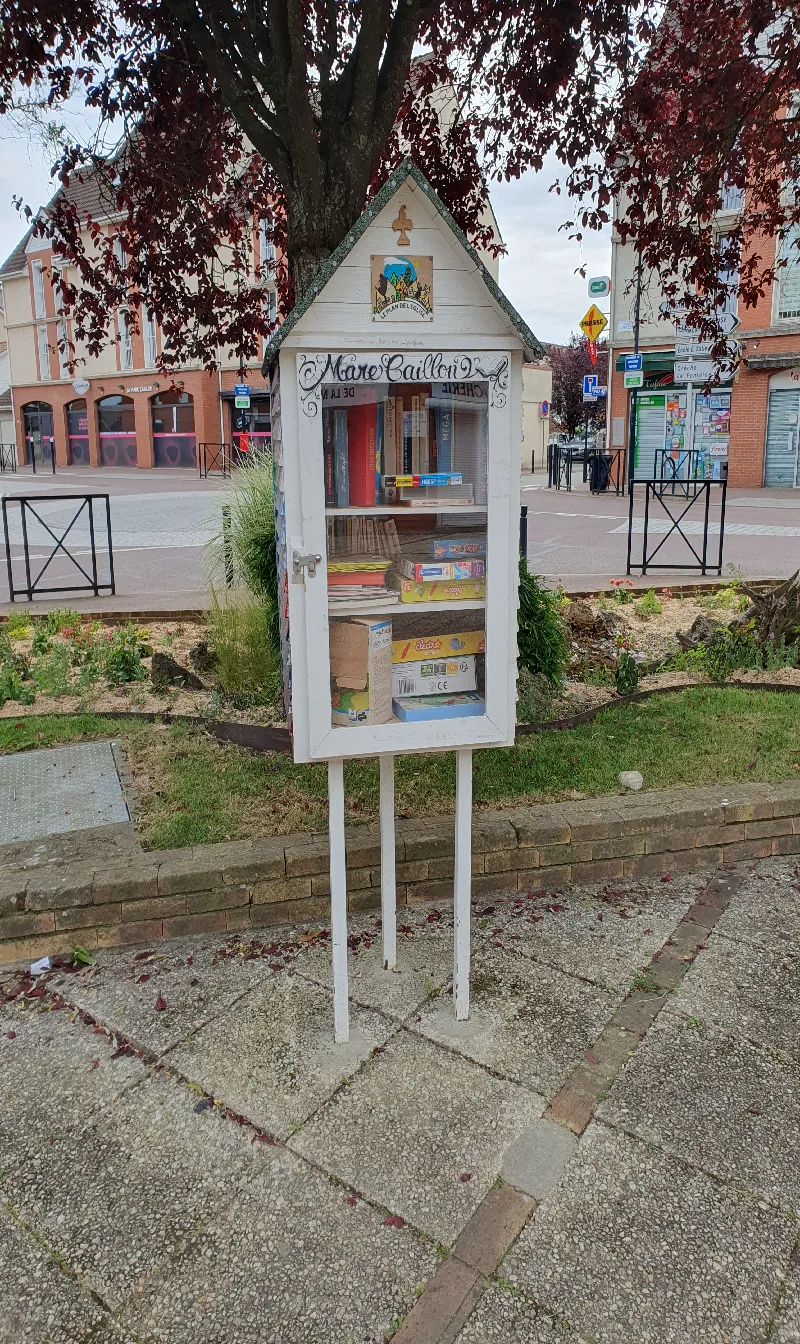 Délivrez - Boite à livres (Montigny-le-Bretonneux, France)