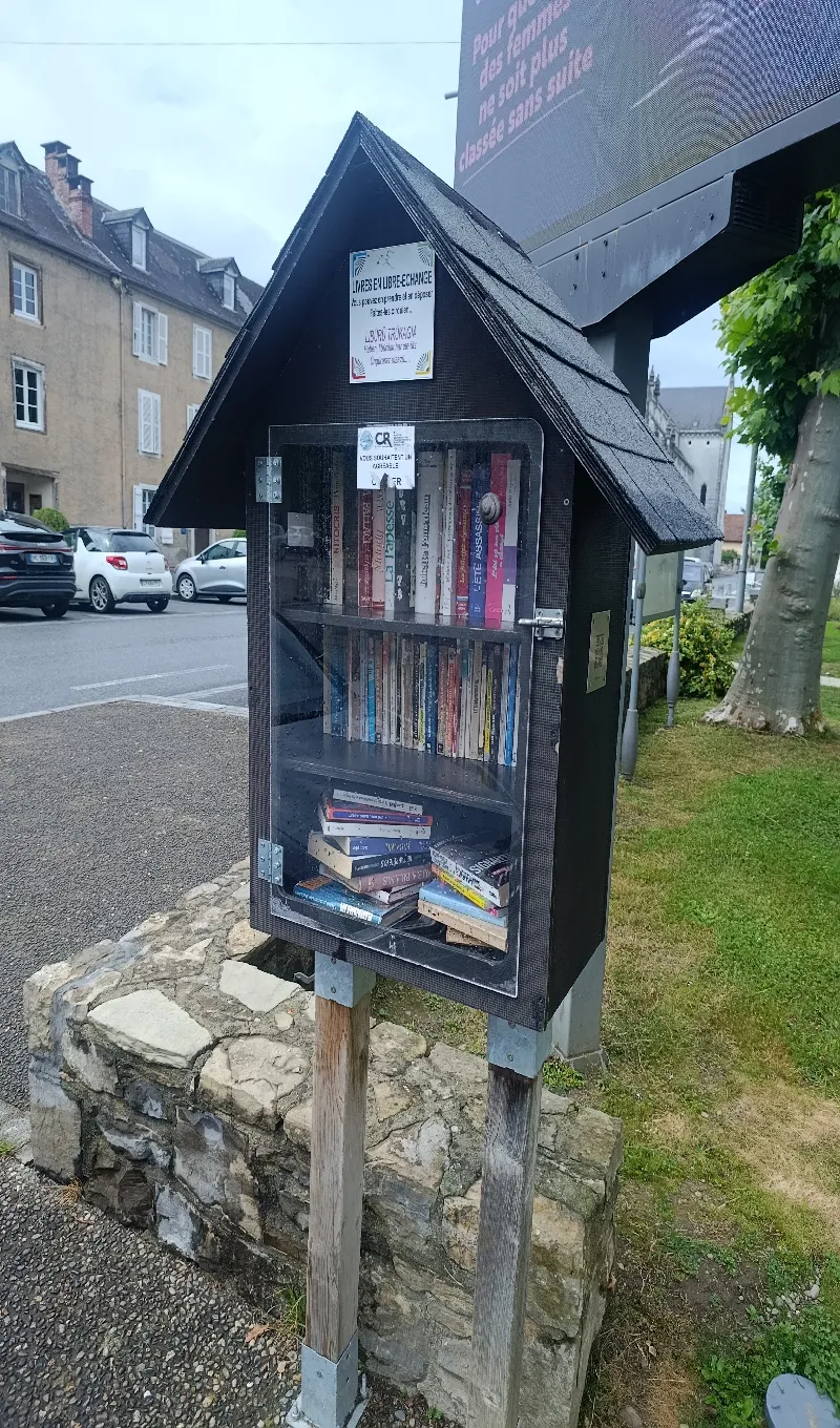 Délivrez - Boite à livres (Mauléon-Licharre, France)
