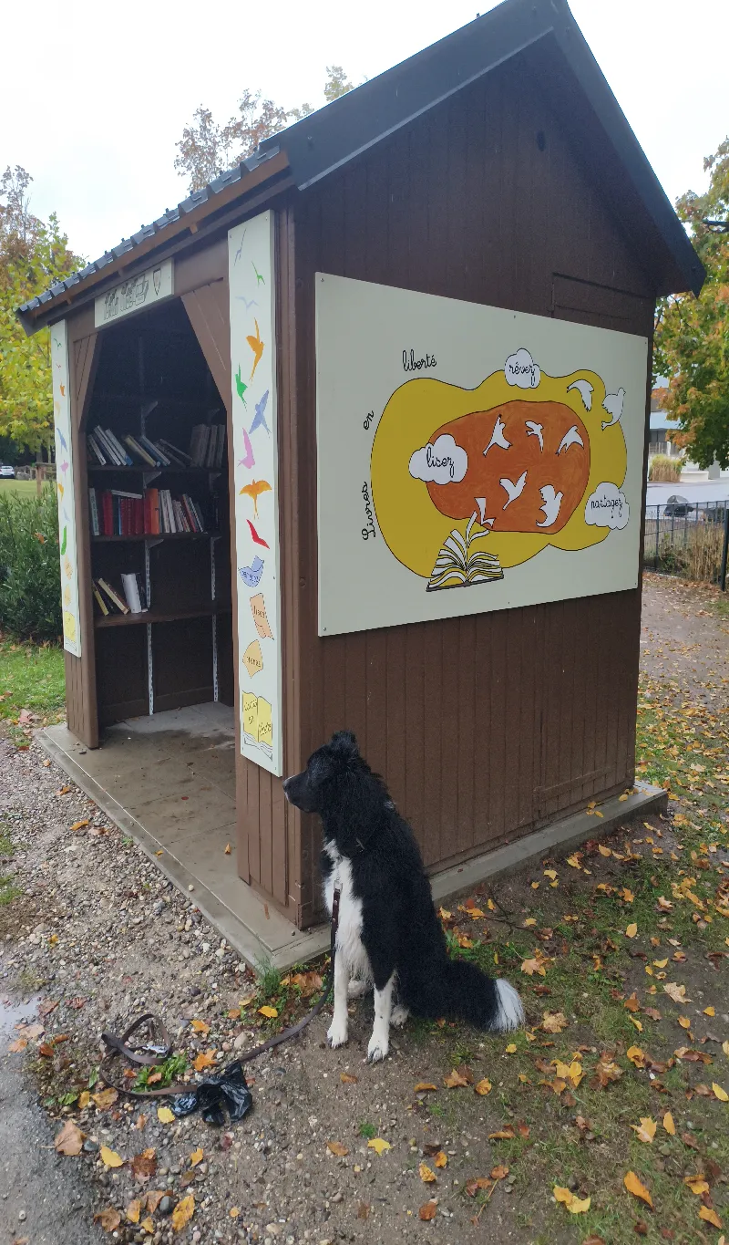 Delivrez - Free Library (Munster, France)