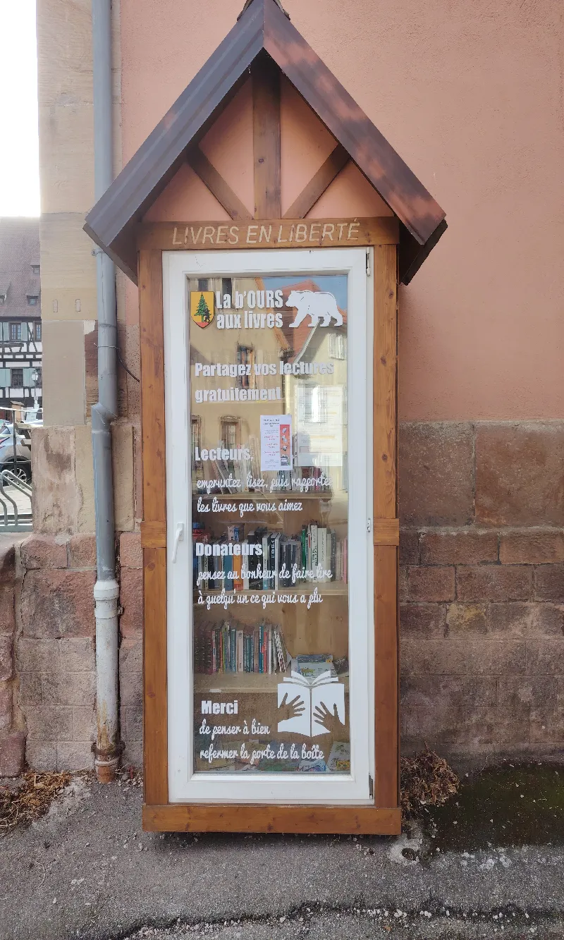 Delivrez - Free Library (Dambach-la-Ville, France)